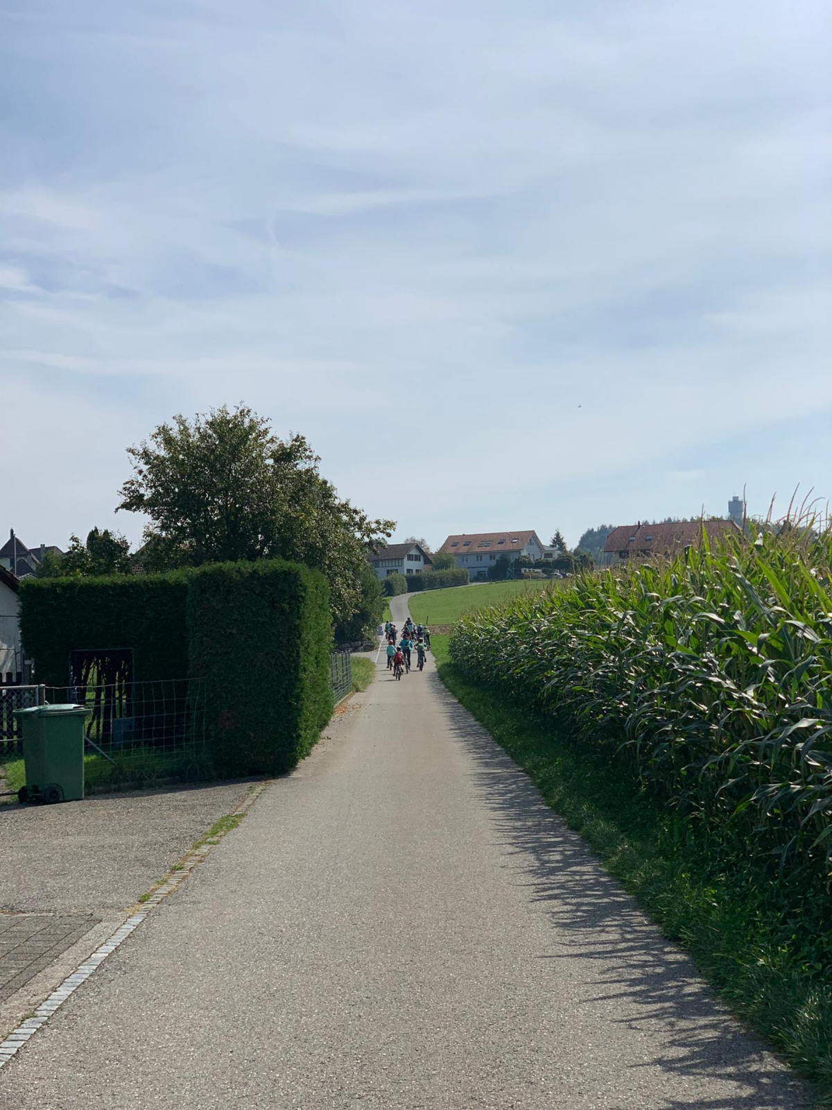 Bild (23)